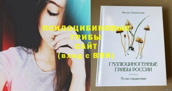 ПСИЛОЦИБИНОВЫЕ ГРИБЫ Богородск