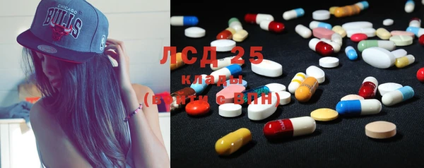 прущие грибы Богданович