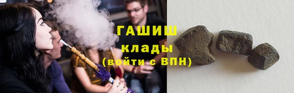 прущие грибы Богданович
