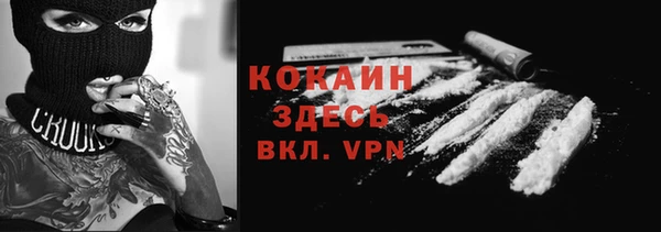 таблы Бородино