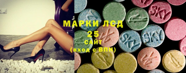 прущие грибы Богданович