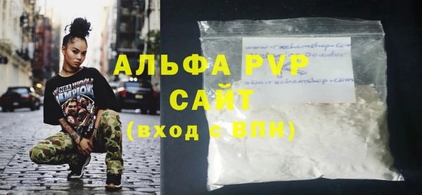 прущие грибы Богданович
