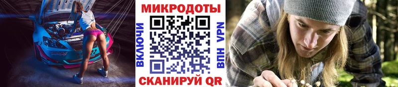 kraken сайт  Хабаровск  Псилоцибиновые грибы Psilocybe 